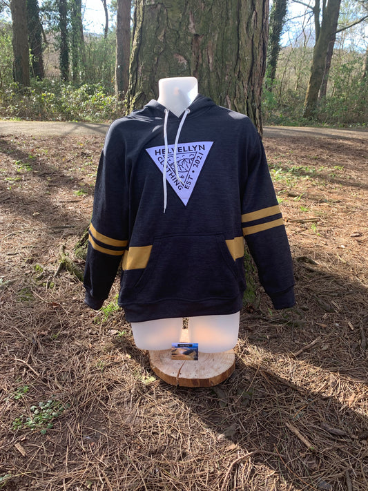 Gold striped hoodie